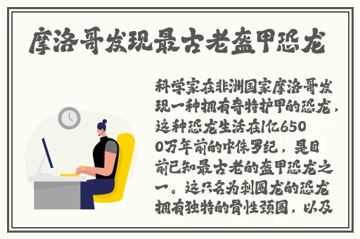 欧洲尺码专区24免费